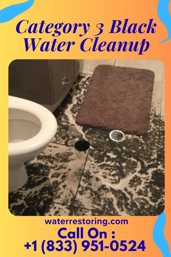Category 3 Black Water Cleanup in Peachtree City, GA